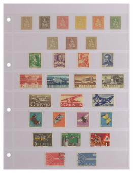 Stock Pages "Combi" Single Sided, Clear with 8 strips